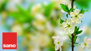 סנו סרטון תדמית